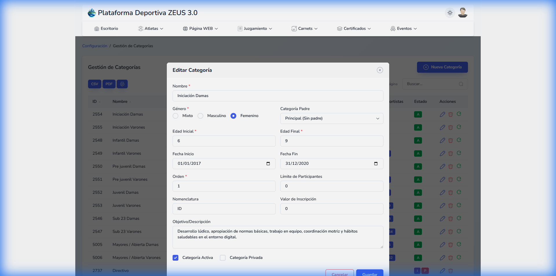 Detalle de Configuración de Categoría